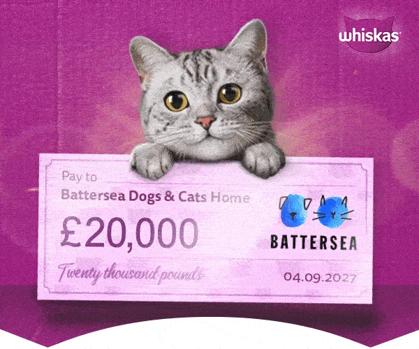 A silver tabby kitten holds up a pink cheque made out to Battersea Dogs and Cats Home for £20,000.