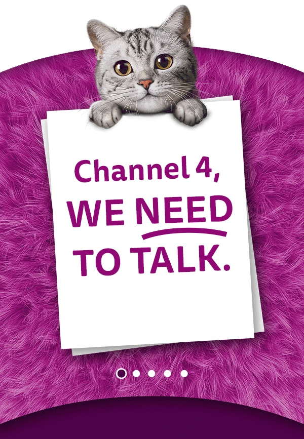 A silver tabby kitten on purple fur holds a note reading Channel 4, we need to talk.