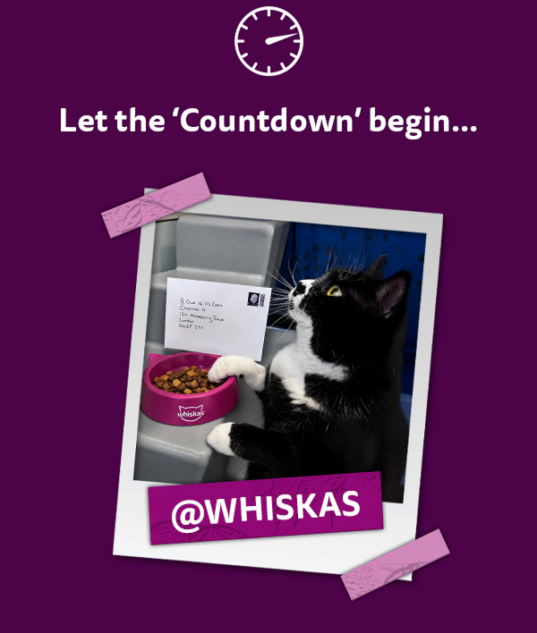 Let the Countdown begin: a taped polaroid of a black and white cat with a WHISKAS bowl, captioned @WHISKAS.