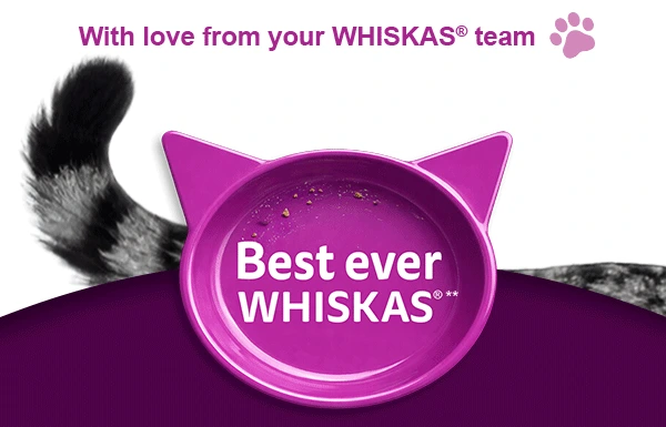 With love from your WHISKAS team: the campaign sign-off with a tabby tail.