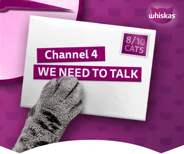 A tabby paw pushes an envelope addressed Channel 4, we need to talk, stamped 8 out of 10 cats.